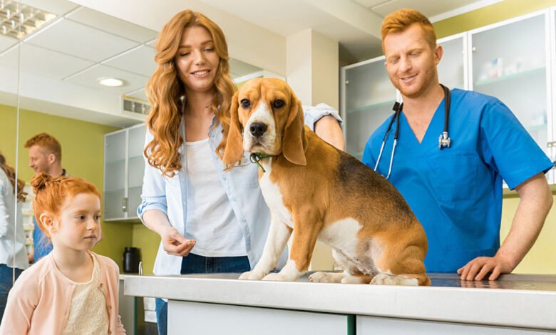 What to Expect From Veterinary Visits: Caring for Your Pet'S Health