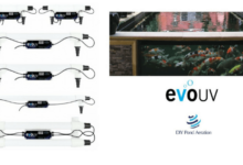Evolution Aqua