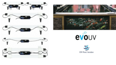 Evolution Aqua