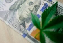 investing in cannabis growth