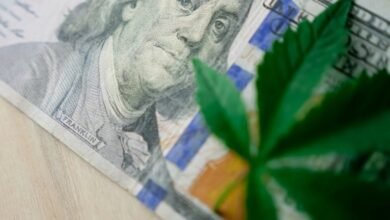 investing in cannabis growth