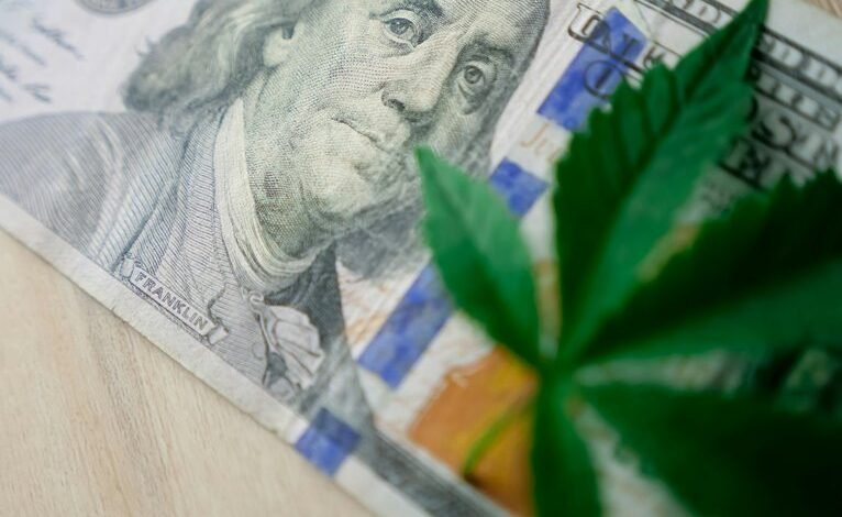 investing in cannabis growth