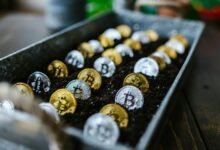 investing in stocks wisely