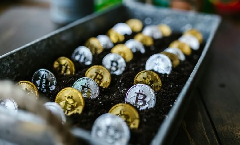 investing in stocks wisely