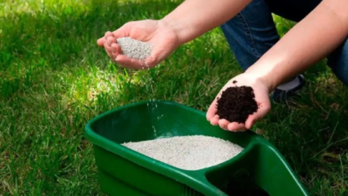Choosing the Right Fertilizer for Optimal Crop Growth