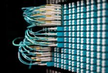 enterprise connectivity audit identifiers