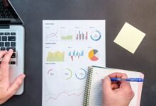 network integrity observation identifiers and addresses