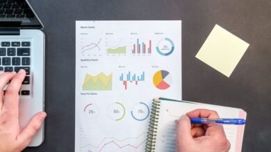 network integrity observation identifiers and addresses